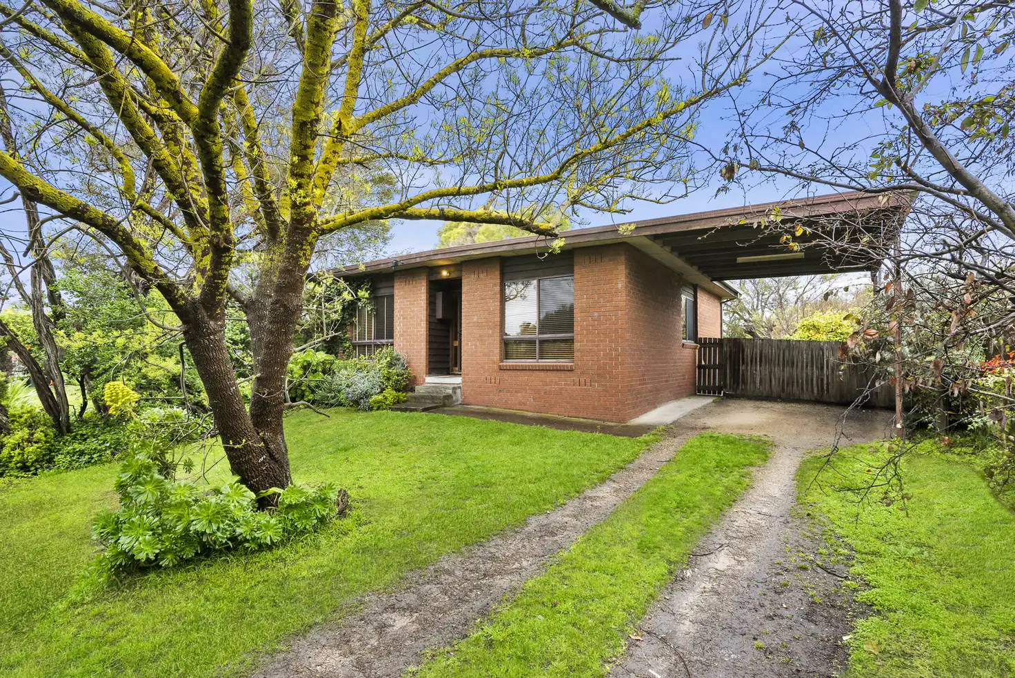 Main view of Homely house listing, 21 Tuerong Street, Rye VIC 3941