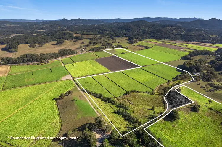 Main view of Homely rural property listing, 207 Hulls Road, Crabbes Creek NSW 2483