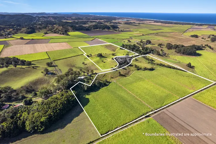Second view of Homely rural property listing, 207 Hulls Road, Crabbes Creek NSW 2483