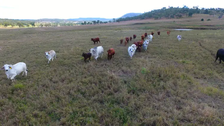 Fourth view of Homely land listing, LOT 161 Gayndah-Mundubbera Road, Deep Creek QLD 4625