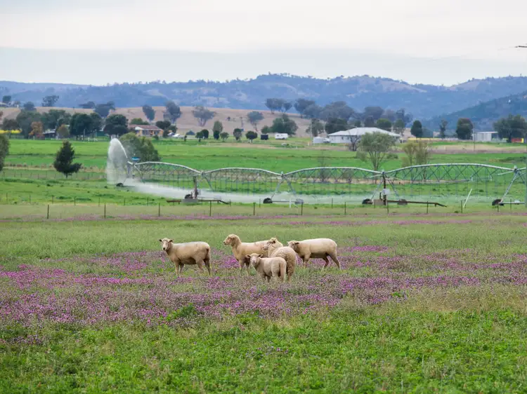 Fourth view of Homely rural property listing, 199 Top Somerton Road, Attunga, Tamworth NSW 2340