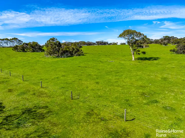 Fourth view of Homely rural property listing, 791 Waitpinga Road, Waitpinga SA 5211