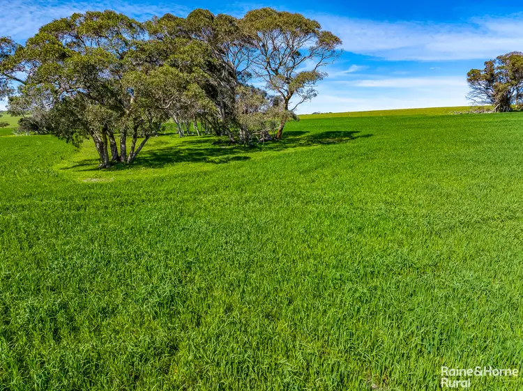 Seventh view of Homely rural property listing, 791 Waitpinga Road, Waitpinga SA 5211