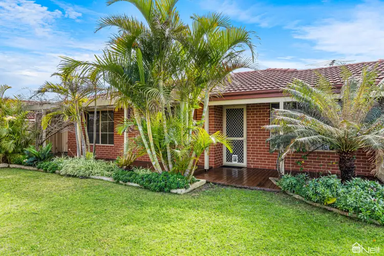 16 Cable Close, Seville Grove WA 6112