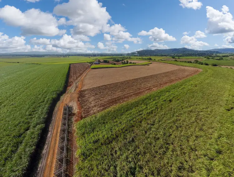 Main view of Homely rural property listing, 1 Mizzi Road, South Johnstone QLD 4859