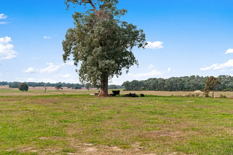 Third view of Homely house listing, 720 Cowwarr-Seaton Road, Seaton VIC 3858