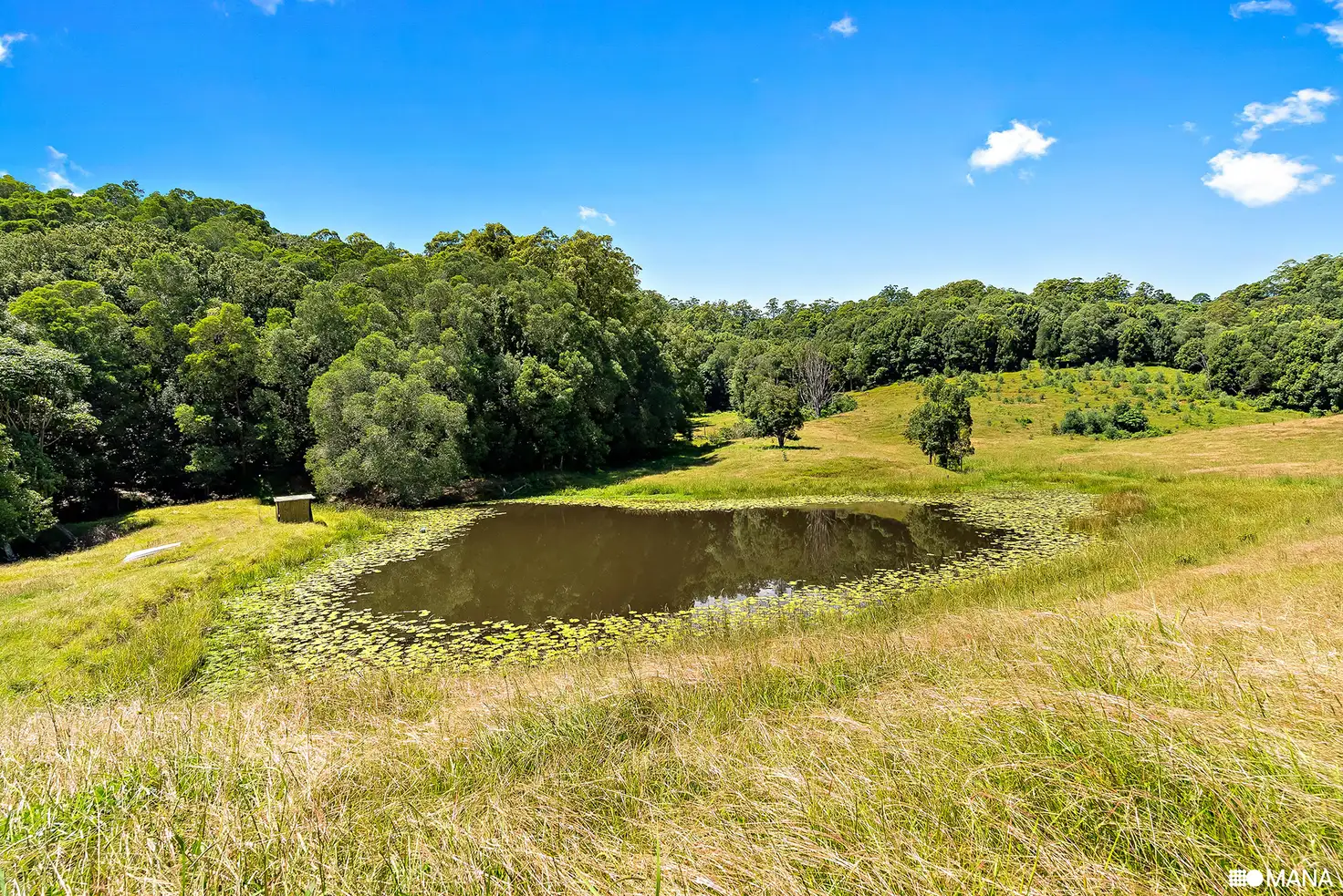 Main view of Homely house listing, 345 Chilcotts Road, Chillingham NSW 2484