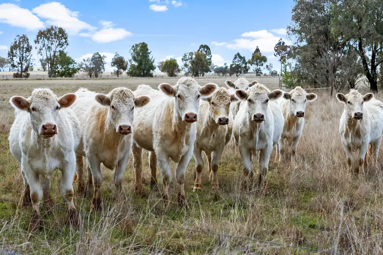 Third view of Homely rural property listing, 'Glen Manor' 93 Glenara Road, Tamworth NSW 2340