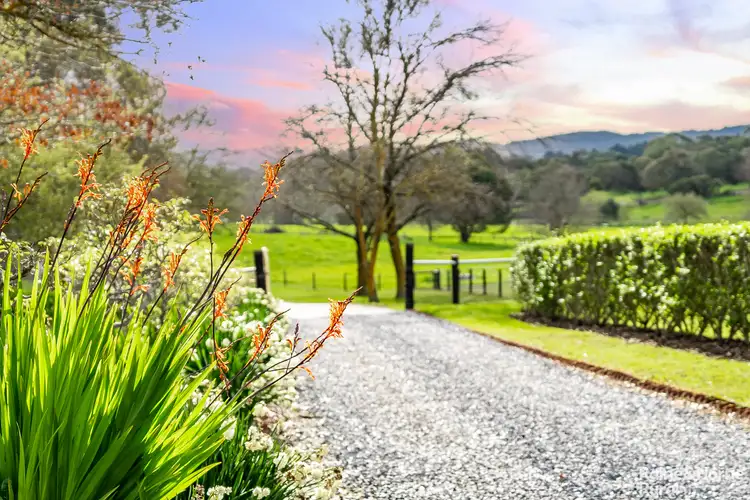 Fourth view of Homely rural property listing, 17 Martin Road, Hahndorf SA 5245