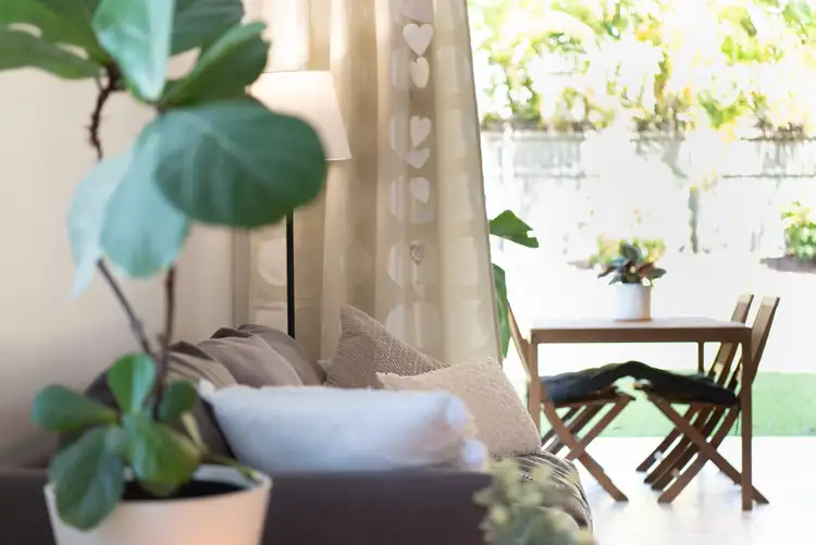 Third view of Homely unit listing, 3/117 Pashen Street, Morningside QLD 4170