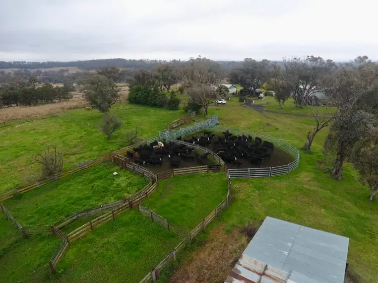 Fourth view of Homely rural property listing, "Weeroona" 9051 Newell Highway, Coonabarabran NSW 2357