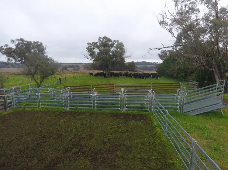 Fifth view of Homely rural property listing, "Weeroona" 9051 Newell Highway, Coonabarabran NSW 2357