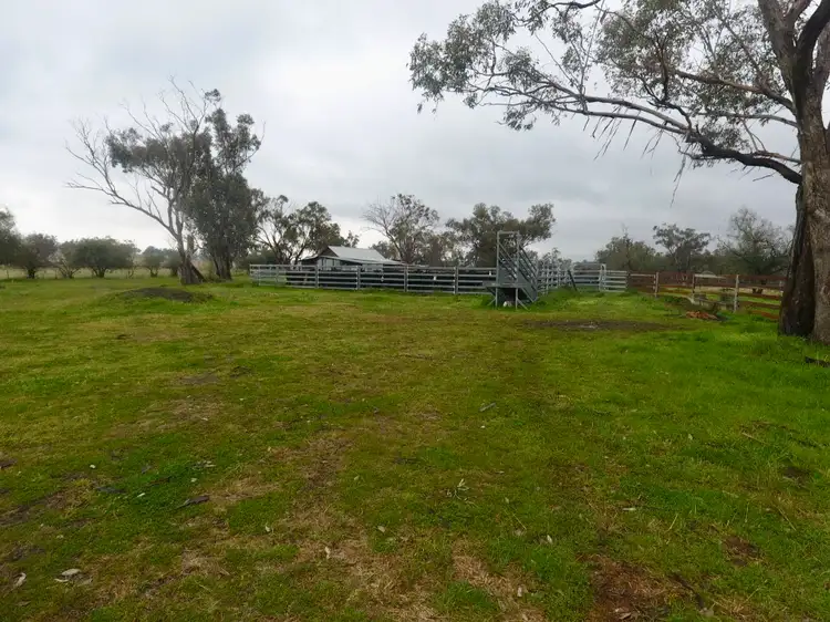 Sixth view of Homely rural property listing, "Weeroona" 9051 Newell Highway, Coonabarabran NSW 2357