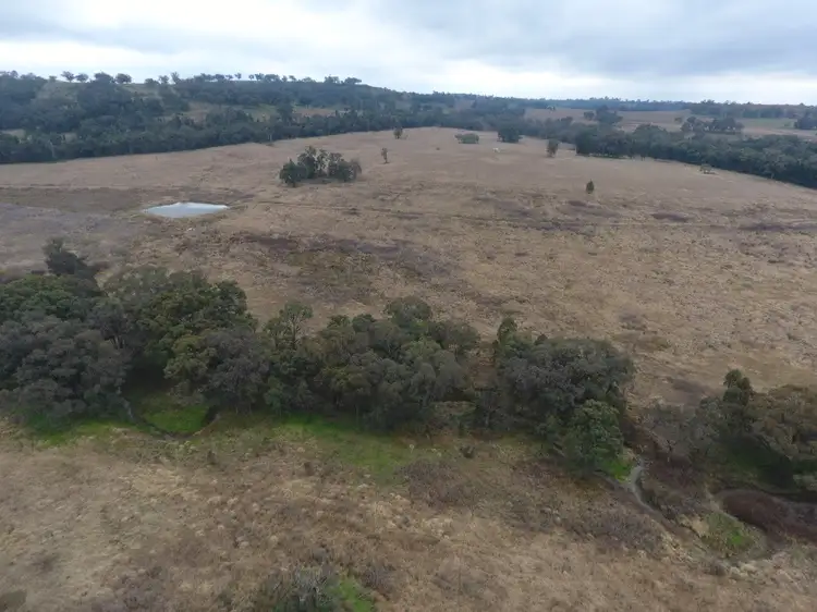 Main view of Homely rural property listing, "The Junction" 8764 Newell Highway, Coonabarabran NSW 2357