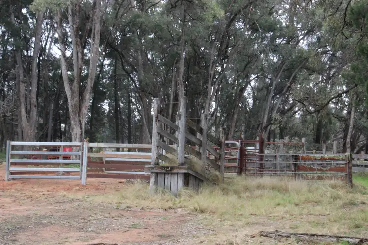 Third view of Homely rural property listing, "The Junction" 8764 Newell Highway, Coonabarabran NSW 2357