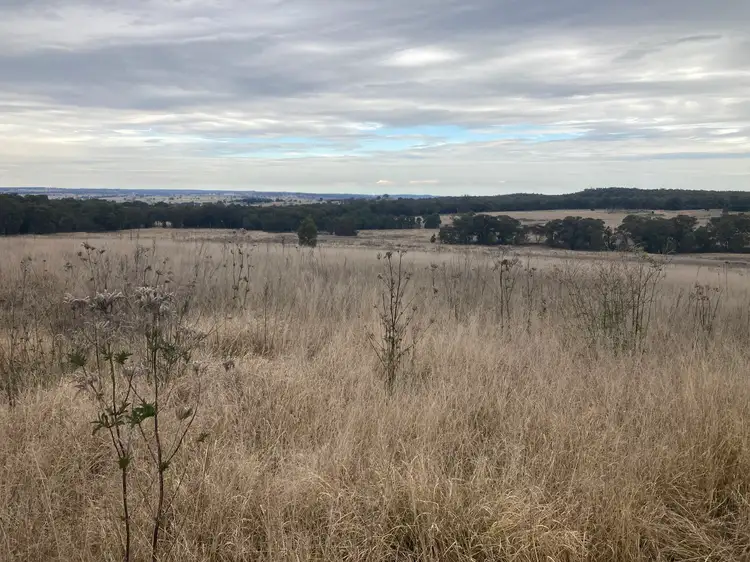 Fifth view of Homely rural property listing, "The Junction" 8764 Newell Highway, Coonabarabran NSW 2357