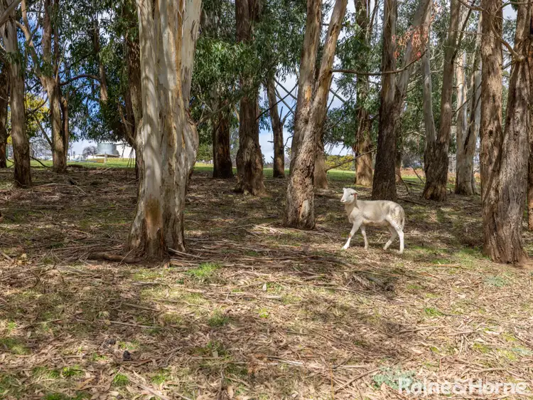 Sixth view of Homely land listing, 26 Reserve Avenue, Black Springs NSW 2787