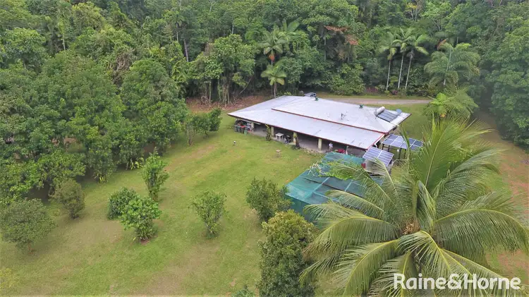 1466 Cape Tribulation Road, Daintree QLD 4873