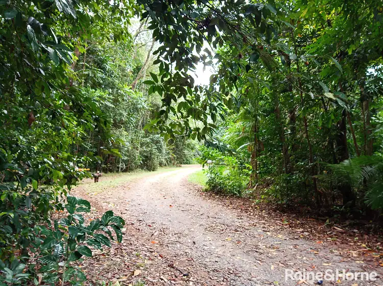 Third view of Homely house listing, 1466 Cape Tribulation Road, Daintree QLD 4873