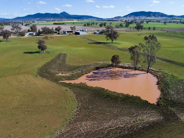 Main view of Homely rural property listing, "Calluna" 1326 Warral Bithramere Road, Tamworth NSW 2340
