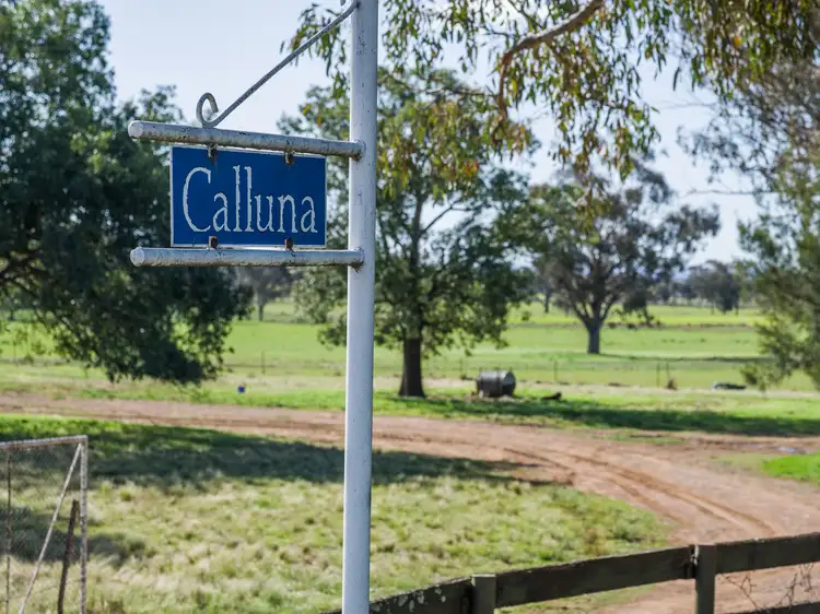 Second view of Homely rural property listing, "Calluna" 1326 Warral Bithramere Road, Tamworth NSW 2340