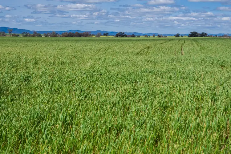 Fourth view of Homely rural property listing, "Glenbar" 6 Bithramere Lane, Tamworth NSW 2340