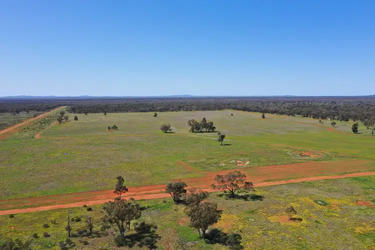 Second view of Homely rural property listing, 20574 Kidman Way, Mount Hope NSW 2877