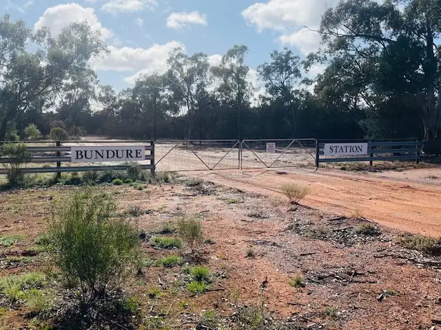 Third view of Homely rural property listing, 20574 Kidman Way, Mount Hope NSW 2877