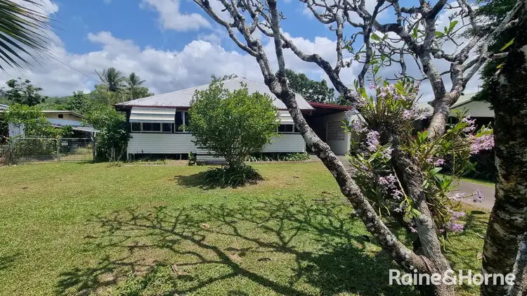 Second view of Homely house listing, 113 Alchera Drive, Mossman QLD 4873