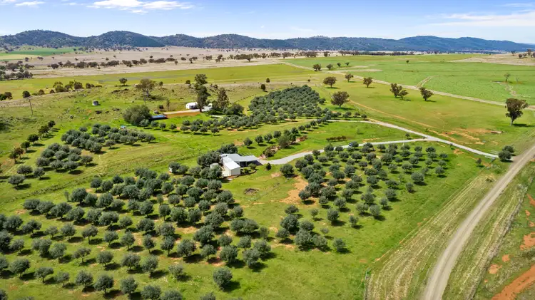 118 Sneesbys Road, Upper Manilla NSW 2346