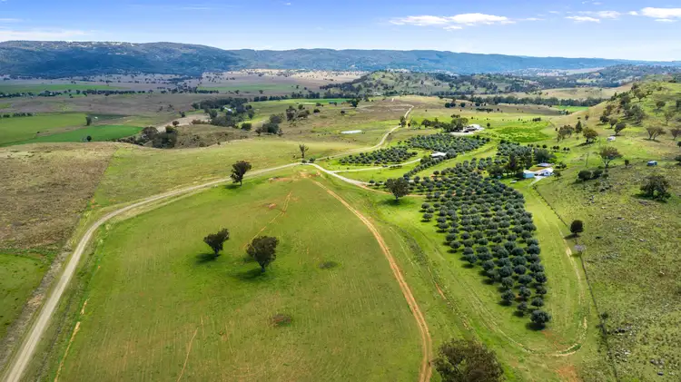 Second view of Homely rural property listing, 118 Sneesbys Road, Upper Manilla NSW 2346