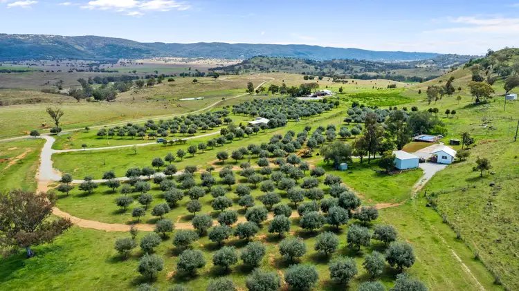 Third view of Homely rural property listing, 118 Sneesbys Road, Upper Manilla NSW 2346