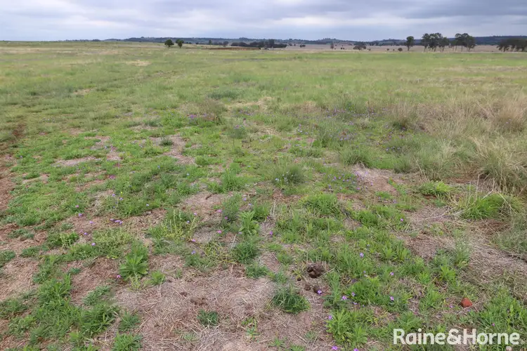 Lot 5 Lysdale Road, Wondai QLD 4606