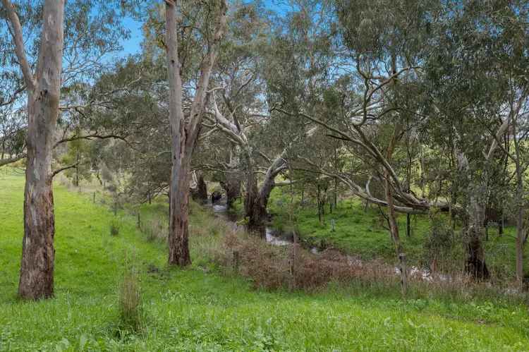 Main view of Homely rural property listing, 394 Pages Flat Road, Pages Flat SA 5172