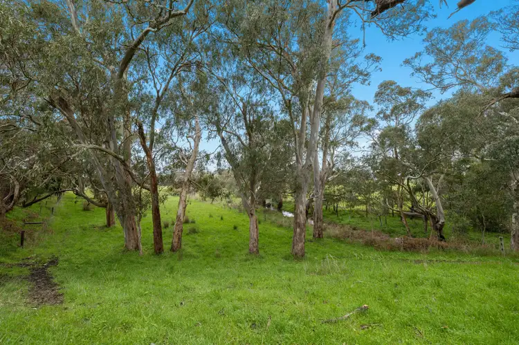 Seventh view of Homely rural property listing, 394 Pages Flat Road, Pages Flat SA 5172