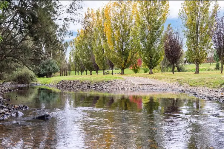 Fifth view of Homely rural property listing, 5937 New England Highway, via Scone, Blandford NSW 2338