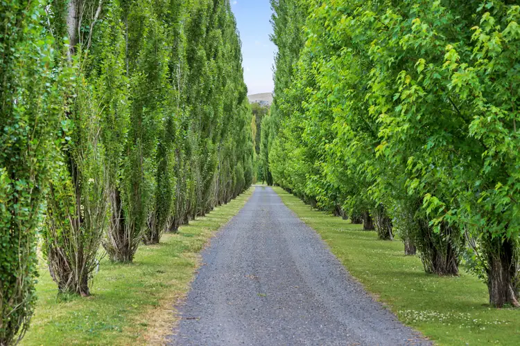 Sixth view of Homely rural property listing, 5937 New England Highway, via Scone, Blandford NSW 2338