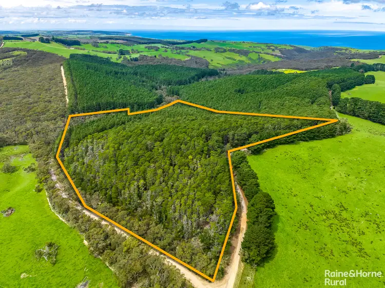 S413 Tunk Head Road, Tunkalilla SA 5203
