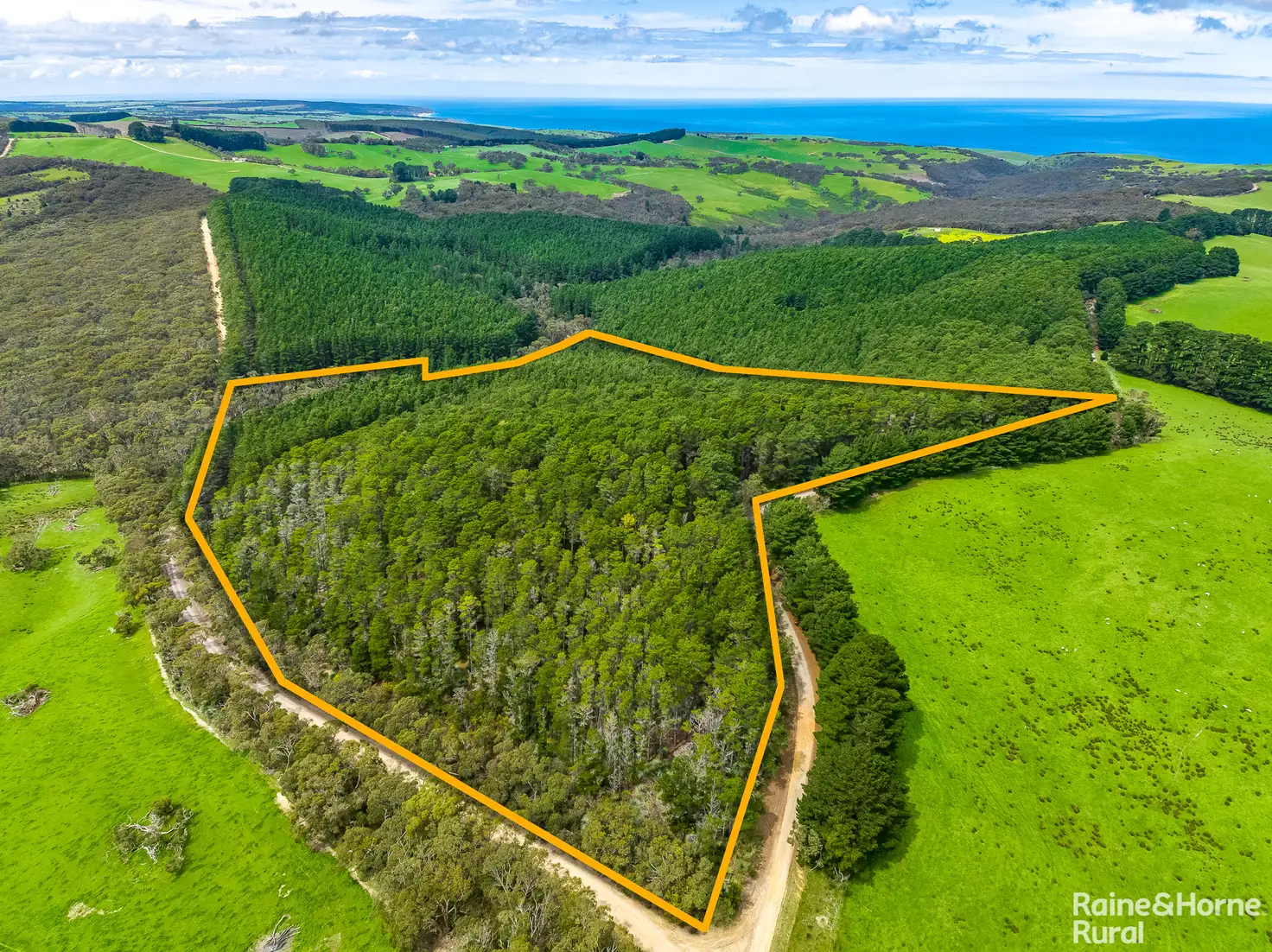 Main view of Homely rural property listing, S413 Tunk Head Road, Tunkalilla SA 5203