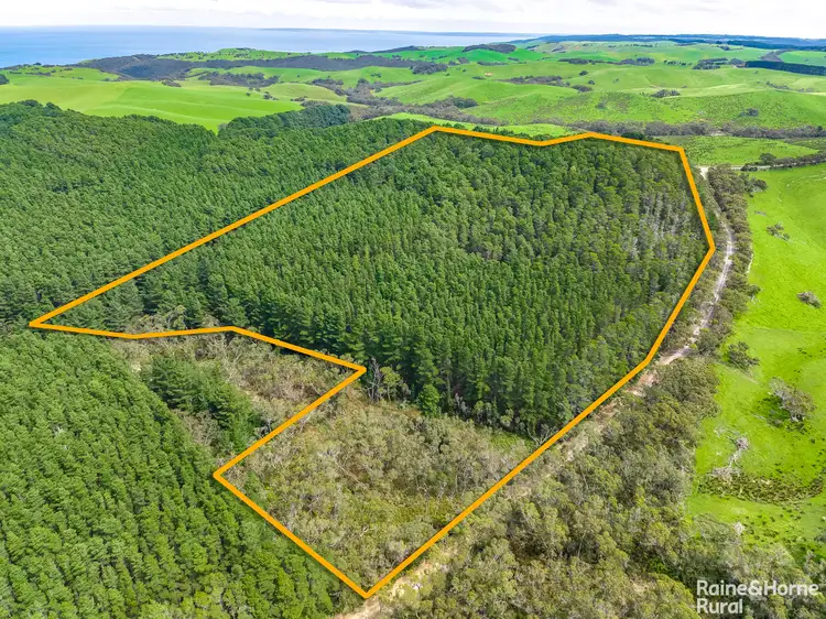 Third view of Homely rural property listing, S413 Tunk Head Road, Tunkalilla SA 5203