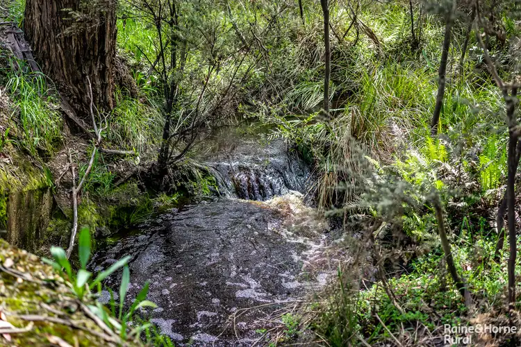 Fourth view of Homely rural property listing, S413 Tunk Head Road, Tunkalilla SA 5203