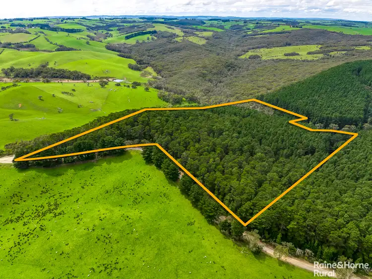 Fifth view of Homely rural property listing, S413 Tunk Head Road, Tunkalilla SA 5203