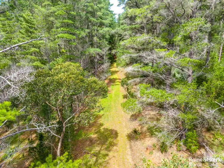 Seventh view of Homely rural property listing, S413 Tunk Head Road, Tunkalilla SA 5203