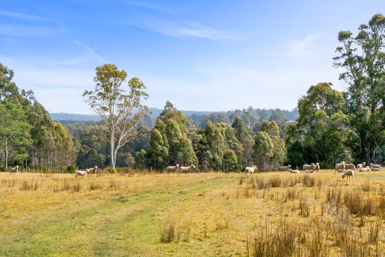 Fourth view of Homely rural property listing, 108 New Country Marsh Road, Levendale TAS 7120