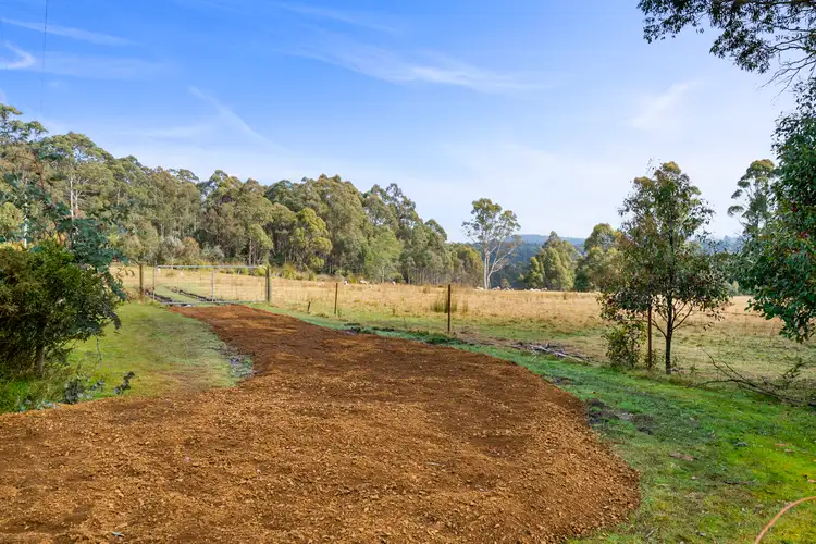 Fifth view of Homely rural property listing, 108 New Country Marsh Road, Levendale TAS 7120