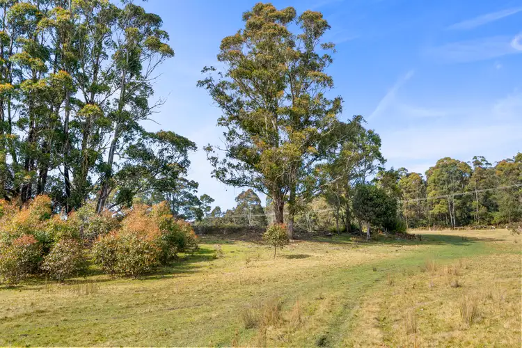 Sixth view of Homely rural property listing, 108 New Country Marsh Road, Levendale TAS 7120