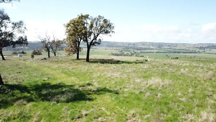 Second view of Homely rural property listing, "Toolangi View" 2699 Blackstump Way, Coolah NSW 2843