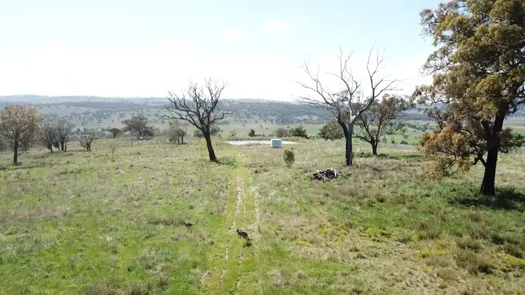 Third view of Homely rural property listing, "Toolangi View" 2699 Blackstump Way, Coolah NSW 2843