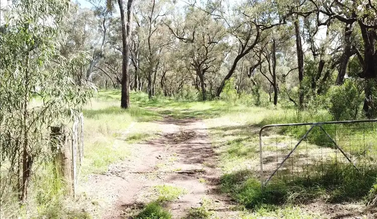 Fourth view of Homely rural property listing, "Toolangi View" 2699 Blackstump Way, Coolah NSW 2843