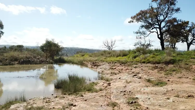 Seventh view of Homely rural property listing, "Toolangi View" 2699 Blackstump Way, Coolah NSW 2843